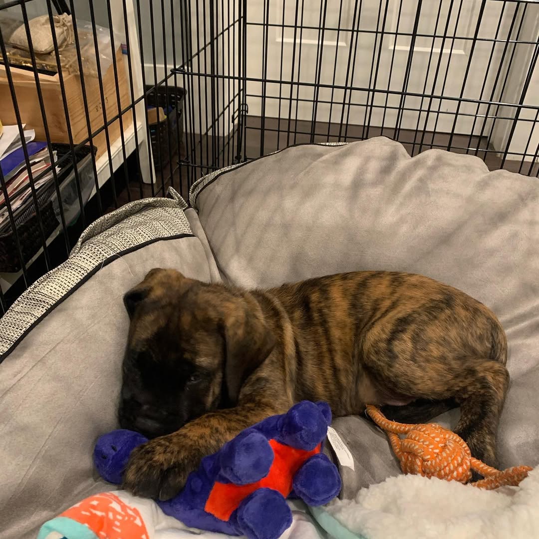 Settling in just fine