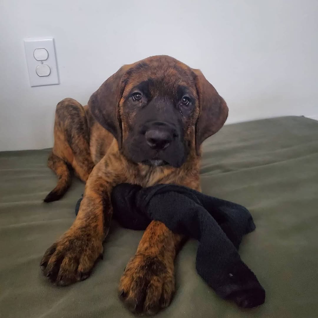 When I first got to Whistler